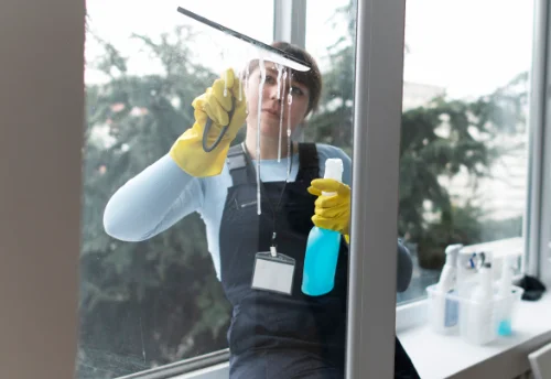 Nettoyage de vitres intérieures et extérieures à Moulézan